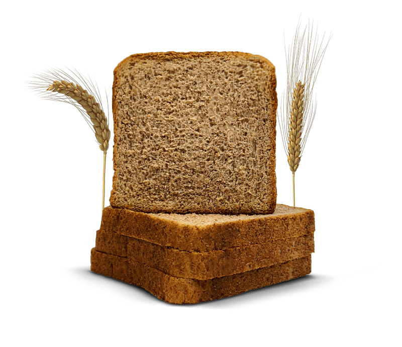 pan caracteristicas img